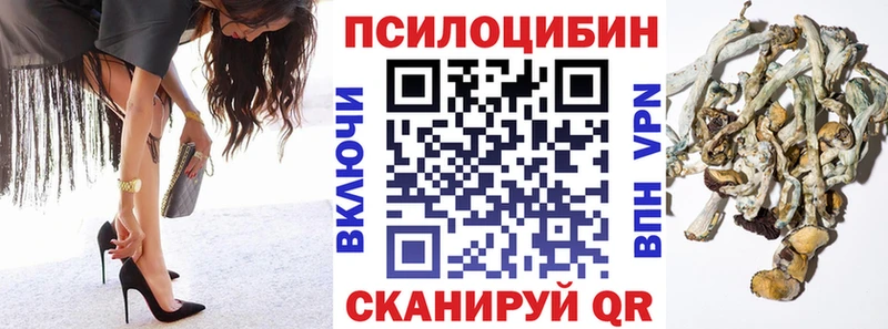Галлюциногенные грибы GOLDEN TEACHER  Купить  Сасово 